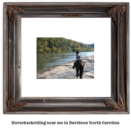 horseback riding near me in Davidson, North Carolina